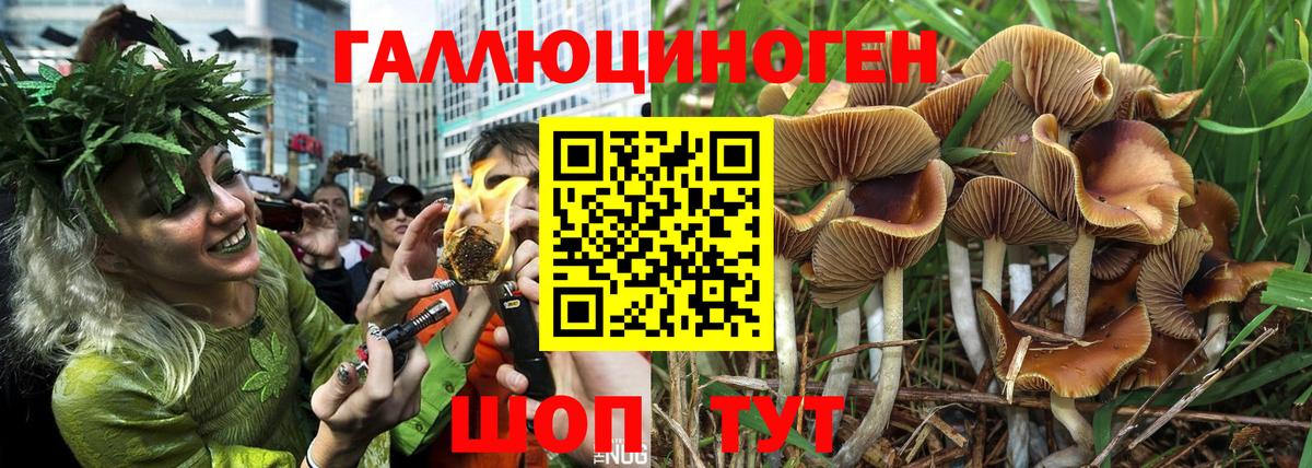 Прокопьевск  Галлюциногенные грибы ЛСД  Вход с VPN 